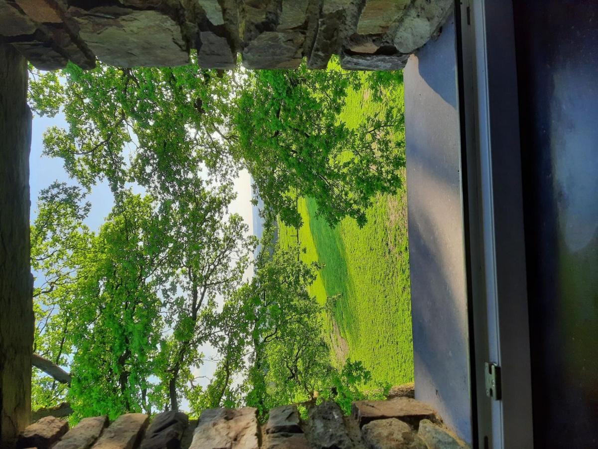 Very Spacious House With Sauna Spa And Countryside Views ゴウブー エクステリア 写真